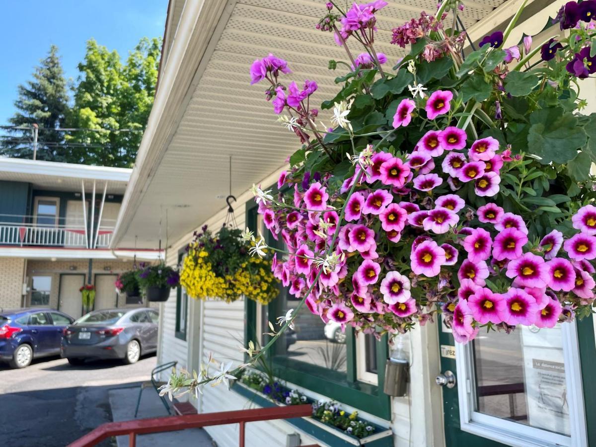Motel Saint-Hilaire Mont-Saint-Hilaire Dış mekan fotoğraf